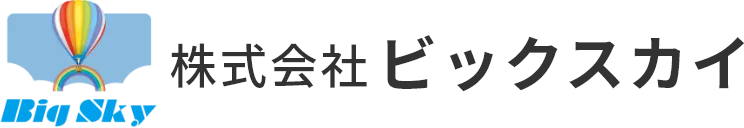 株式会社ビックスカイ